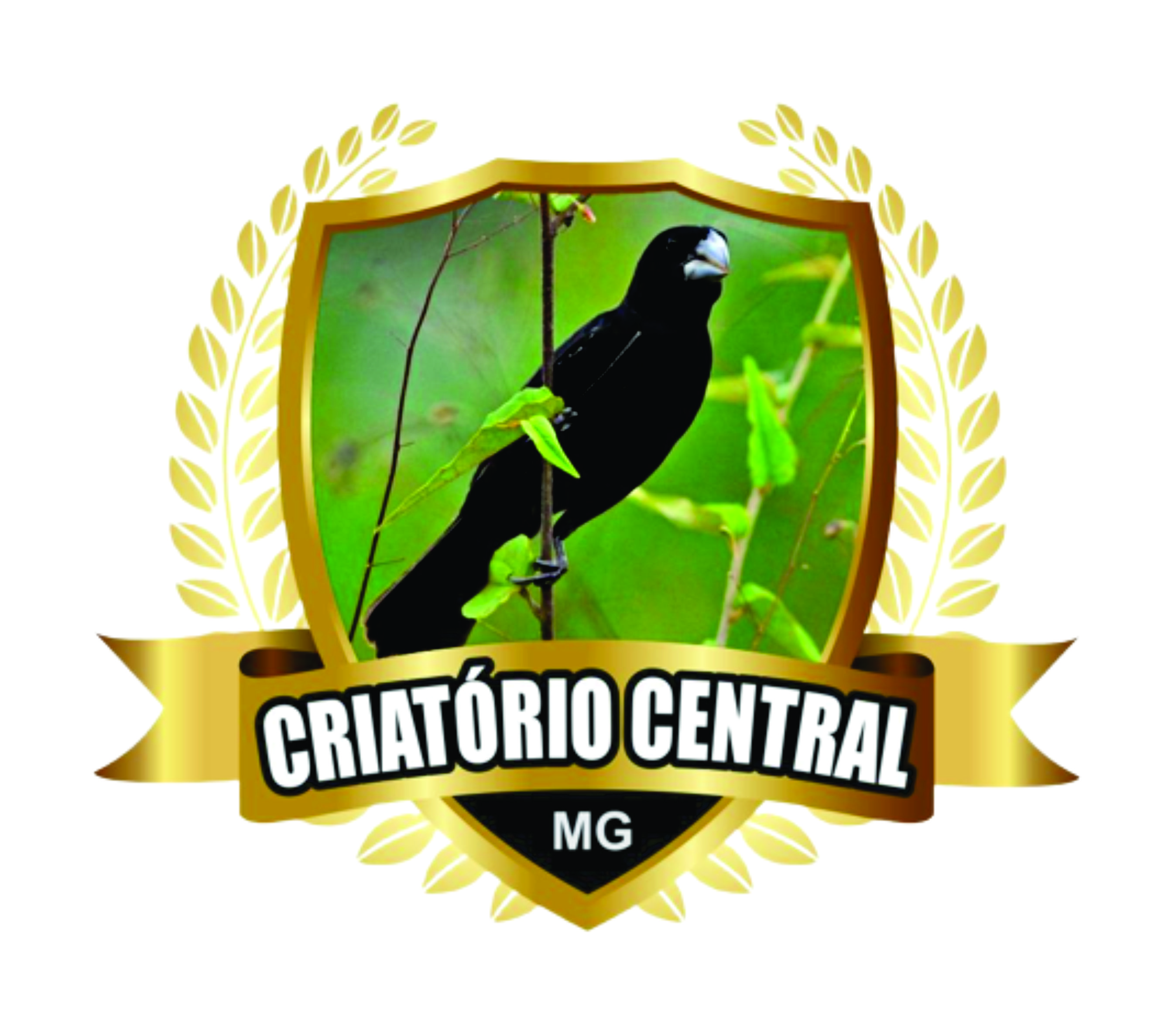 Foto do Cliente 1
